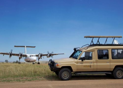 3 Days Maasai Mara Flying Safari