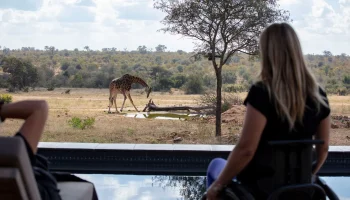 6-day safari itinerary tailored for persons with special needs and mobility issues.