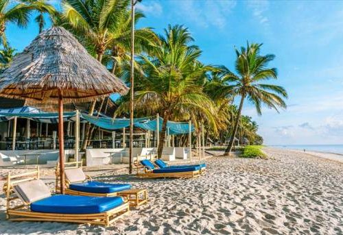 Best Things to Do in Diani Beach
