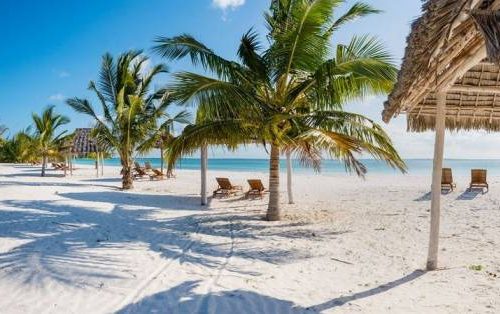 Top Things to Do in Mombasa for First-Time Visitors